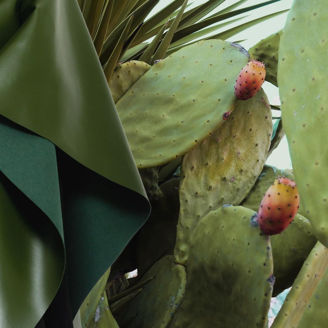 Vegan leather dari kaktus oleh Desserto