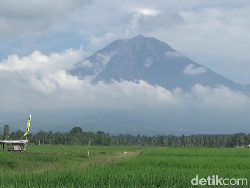 Muntahkan Lava Pijar Sejauh 2 Km, Semeru Terekam 8 Kali Meletus