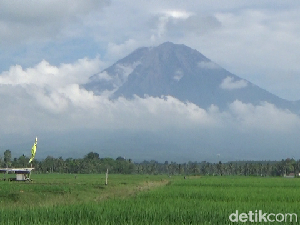 Muntahkan Lava Pijar Sejauh 2 Km, Semeru Terekam 8 Kali Meletus