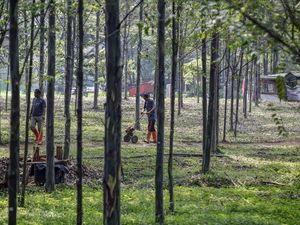 Merasakan Kesejukan Hutan Kota Pakansari Bogor