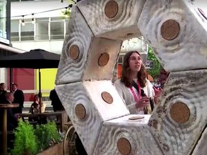 Ide Arsitek London Bangun Rumah dari Jamur Miselium