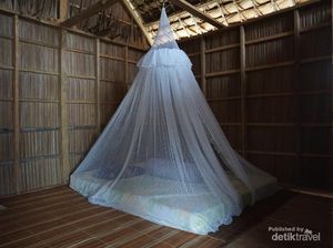 Benarkah Tidur Pakai Kelambu Bisa Mencegah dari Gigitan Ular Berbisa?