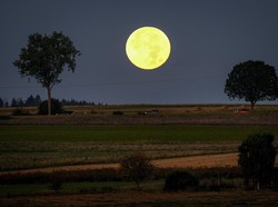 5 Hal yang Terjadi Jika Manusia Hilang dari Muka Bumi