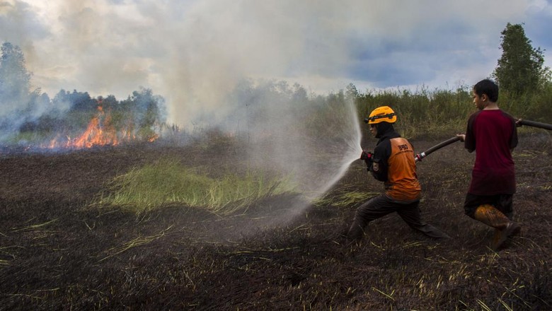 Hari Ke-10 Pemadaman Kebakaran Lahan Gambut di Riau