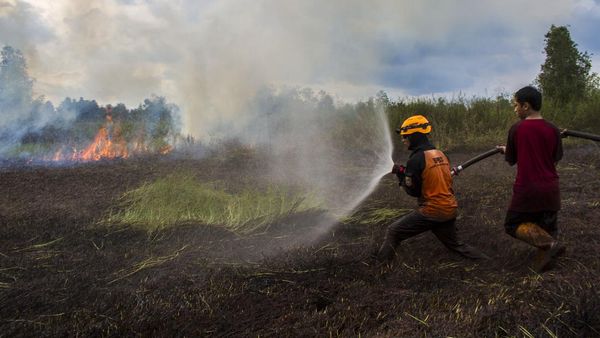 Hati-hati! Karhutla di Kalsel Kian Meluas