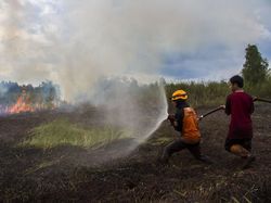 Hati-hati! Karhutla di Kalsel Kian Meluas