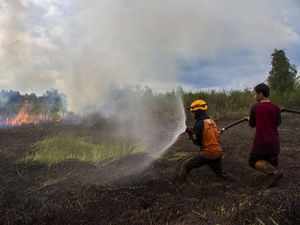 Hati-hati! Karhutla di Kalsel Kian Meluas