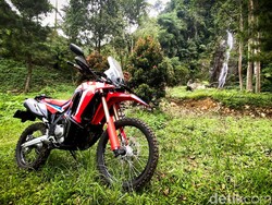 Konsumsi BBM CRF250 Rally Terbaru Dipakai Harian sampai Off-Road Tipis-tipis