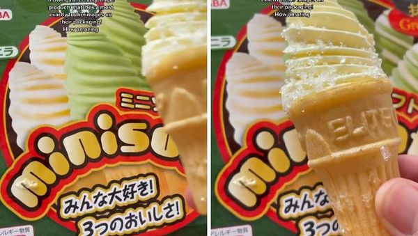 No Tipu-tipu Kalau Beli Makanan di Jepang, Sesuai Gambarnya