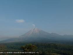 Gunung Semeru Pagi Ini: Terjadi Letusan Asap, Guguran Lava dan Gempa