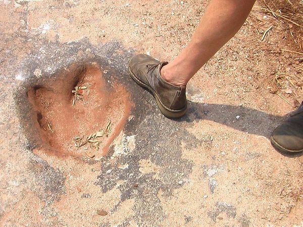 Potret Jejak Dinosaurus di Penjuru Dunia