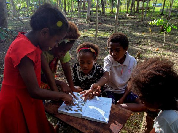 Melihat Penerapan Kurikulum Merdeka Belajar di Papua