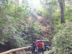 Sopir Ngantuk, Mitsubishi Kuda Terjun Jurang 15 Meter di Jalur Gumitir Jember Sopir Ngantuk, Mitsubishi Kuda Terjun Jurang 15 Meter di Jalur Gumitir Jember