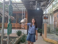 Yuk Ajarkan Anak Mengenal Jenis-jenis Burung di Palembang Bird Park