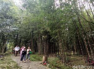 Sudah Pasti Bernuansa di Luar Negeri, tapi Ini Taman Bambu di Jateng