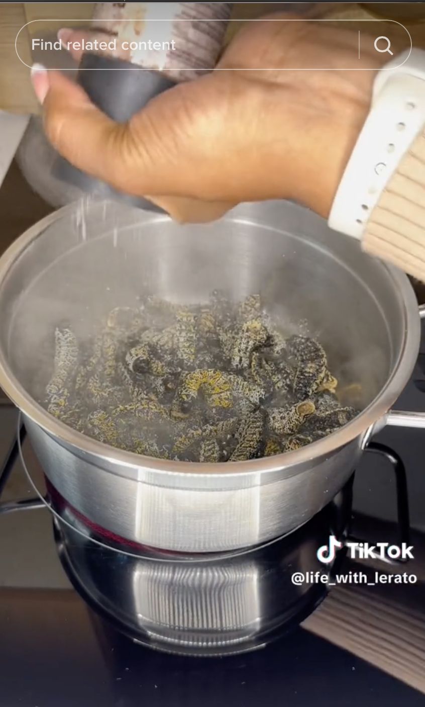 Unik! Ulat Mopani Goreng Jadi Santapan Masyarakat Afrika Selatan