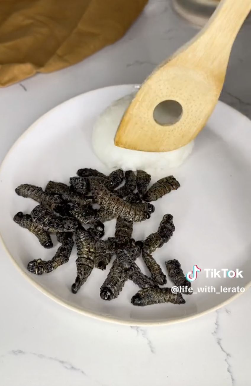 Unik! Ulat Mopani Goreng Jadi Santapan Masyarakat Afrika Selatan