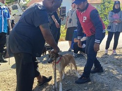 Kementan Sumbang 5 Ribu Dosis Vaksin Rabies di NTT