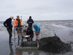 Kota di Jerman Ini Ditemukan Usai Ditelan Laut 660 Tahun Lalu