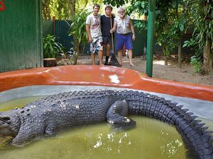 Penampakan Buaya Terbesar Dunia yang Diklaim Berusia 120 Tahun Penampakan Buaya Terbesar Dunia yang Diklaim Berusia 120 Tahun