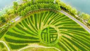 Cantik! Ladang Bunga Lili di China Berbentuk Aksara Tionghoa