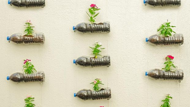 Hanging plastic bottle of flowers in the yellow wall.
