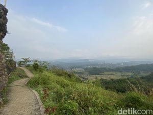 Teka-teki Kemunculan Macan di Karang Para Sukabumi Teka-teki Kemunculan Macan di Karang Para Sukabumi