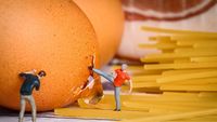 Imut! 10 Kreasi Miniatur Ini dari Sampah Makanan Ini Indah Menakjubkan!