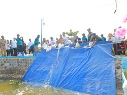 Hari Lingkungan Hidup, Wabup Klaten Tebar 20 Ribu Ikan di Rawa Jombor