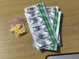 Polisi Gerebek Penjual Tramadol dan Hexymer Berkedok Toko Kosmetik di Bogor Polisi Gerebek Penjual Tramadol dan Hexymer Berkedok Toko Kosmetik di Bogor