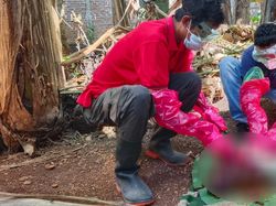 3 Orang Suspek Rabies Meninggal Dunia, 2 di Antaranya Anak