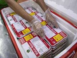 Ragam Menu Katering Khas Indonesia untuk Jemaah Haji 2025