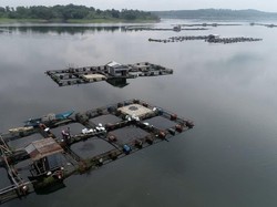 PLTS Apung 100 MW Bakal Dibangun di Waduk Kedung Ombo Boyolali