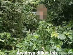 Pria Berkostum BDSM di Coban Glotak dan Fantasi Bersenggama dengan Alam