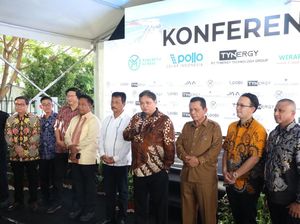 Resmikan Kawasan Industri Wiraraja, Airlangga Puji Kinerja BP Batam