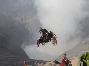 Cuaca Dingin Iringi Perayaan Yadnya Kasada Suku Tengger di Kawah Bromo