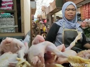Harga Ayam Potong di Brebes Tembus Rp 40 Ribu, Omzet Pedagang Merosot Harga Ayam Potong di Brebes Tembus Rp 40 Ribu, Omzet Pedagang Merosot