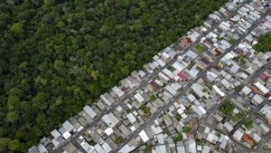Potret Hutan Amazon Berdampingan dengan Permukiman di Brasil