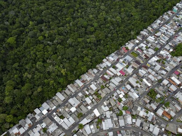 Potret Hutan Amazon Berdampingan dengan Permukiman di Brasil