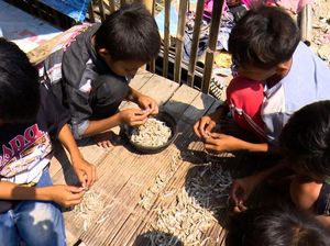 Bocah Pesisir di Kalibaru Bertahan Hidup dari Memungut Ikan Asin, Mari Bantu