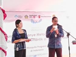 Awas! Pemkot Denpasar Akan Tebar Ribuan Telur Nyamuk Wolbachia di 24 Desa