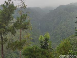 Pria Misterius Pakai Kostum BDSM 9 Jam Berada di Coban Glotak Malang