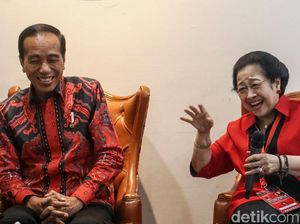 Cerita Hasto tentang Sikap Ranting PDIP soal Rencana Jokowi-Mega Bertemu Cerita Hasto tentang Sikap Ranting PDIP soal Rencana Jokowi-Mega Bertemu