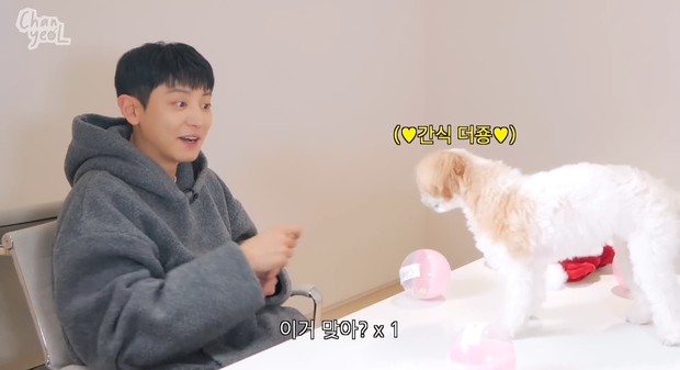 Foto keseruan chanyeol dan zzar memilih nama youtube.