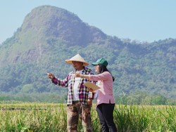 Sensus Pertanian 2023 Pijakan untuk Pertanian Masa Depan