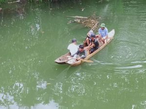 4 Anak di Mentawai Diserang Buaya, 1 Tewas 4 Anak di Mentawai Diserang Buaya, 1 Tewas