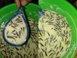 Gokil! Netizen Ini Goreng Peyek Pakai Ikan Cere yang Masih Hidup