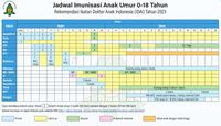 Jadwal Terbaru Imunisasi Anak 0-18 Tahun Rekomendasi IDAI, Ini Beda ...