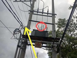 Kabel PLN di 3 Kecamatan Ponorogo Hilang Dicuri, Kerugian Rp 80 Juta