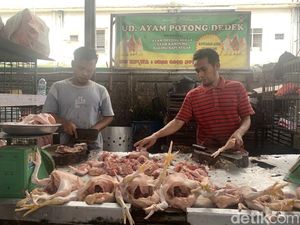 Harga Daging Ayam di Medan Meroket, Tembus Rp 42 Ribu/Kg Harga Daging Ayam di Medan Meroket, Tembus Rp 42 Ribu/Kg
